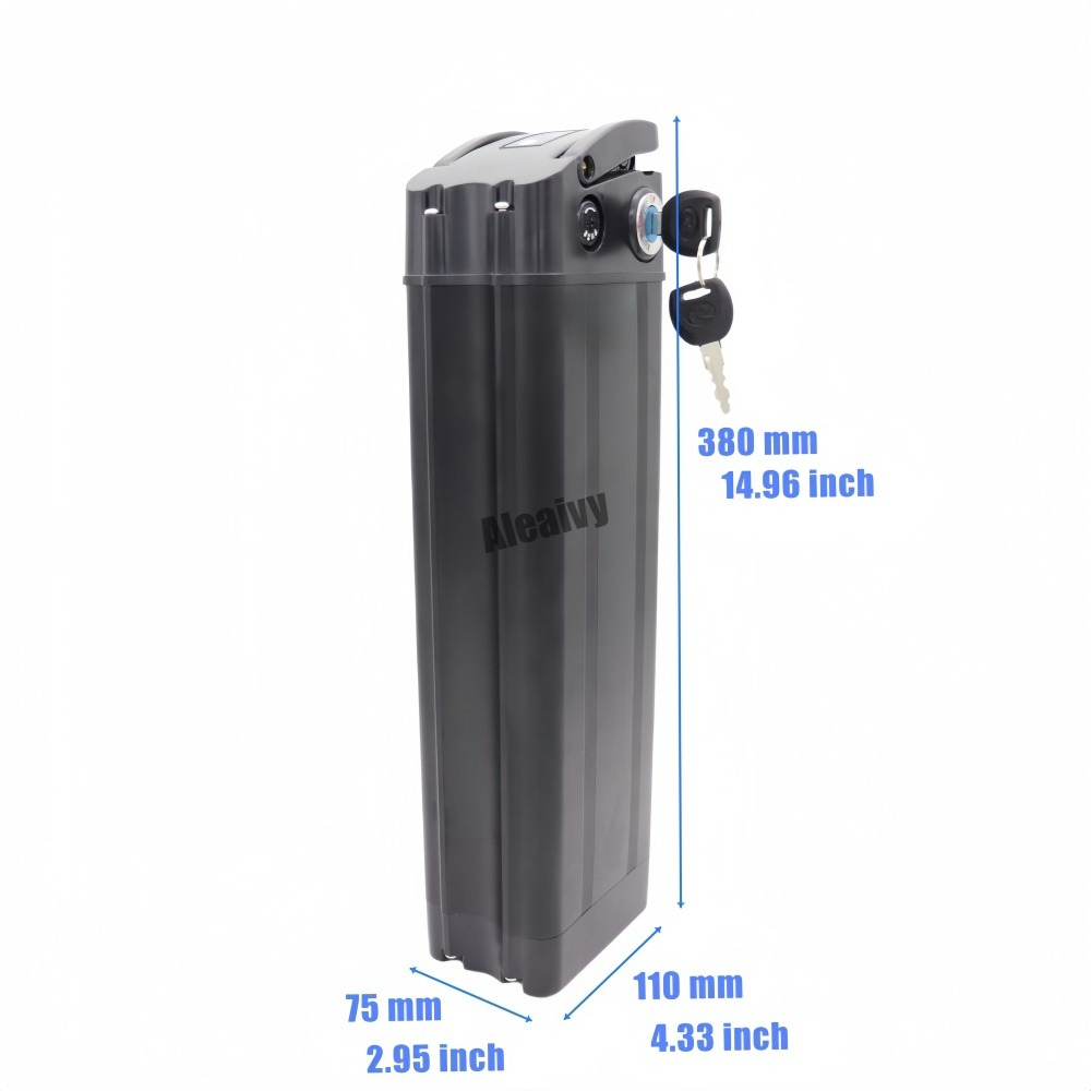 36V 48V 20Ah 25Ah Replacement  - Ebike Battery 48V 20Ah Hailong 评论和价格