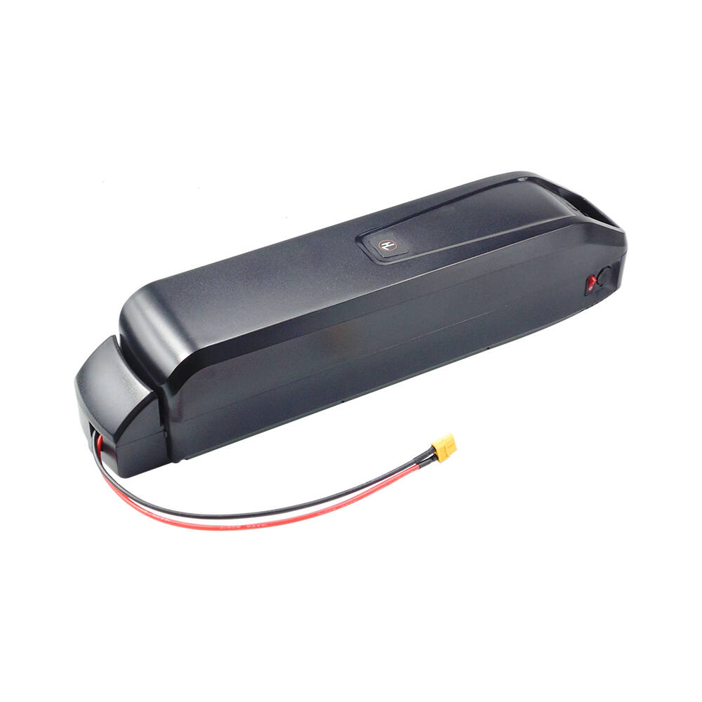 New S20 Pro 48V 13Ah 20Ah Hail - Ebike Battery 48V 20Ah Hailong 评论和价格