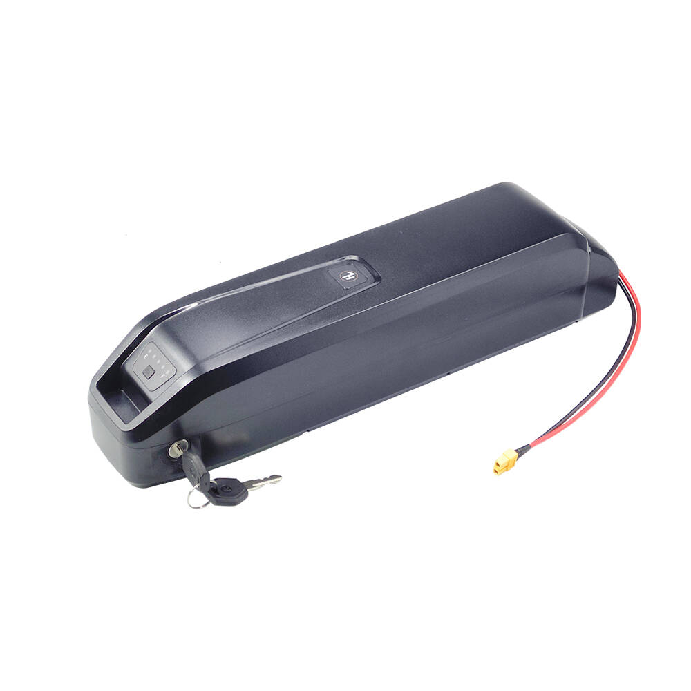 New S20 Pro 48V 13Ah 20Ah Hail - Ebike Battery 48V 20Ah Hailong 评论和价格