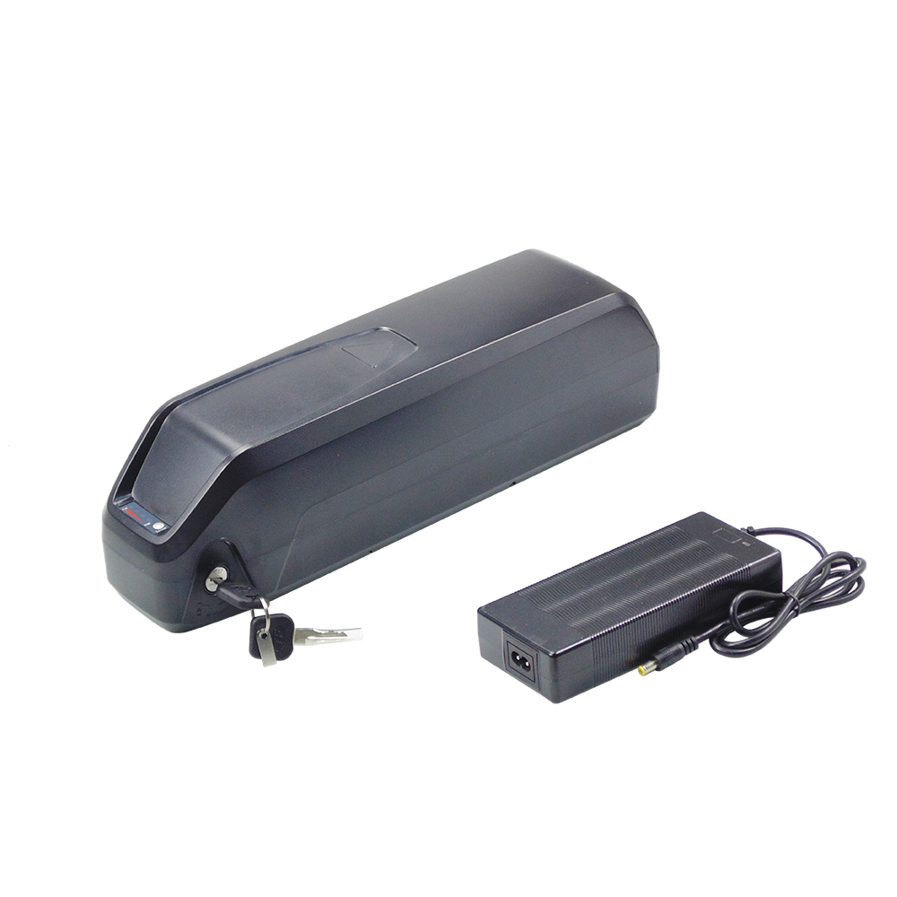 Hailong 48V 13Ah 15Ah 17.5Ah E - Ebike Battery 48V 20Ah Hailong 评论和价格